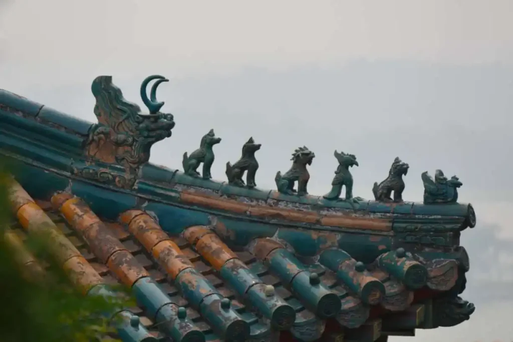 Fotos met Nikon D5600 Decoratie