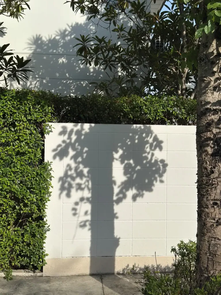 De kunst van het kijken fotografie podcast fotografie experiment