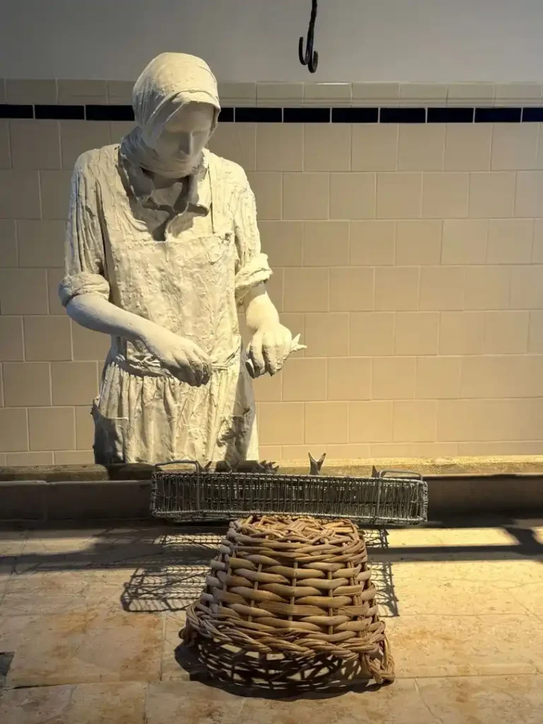museu de portimao cleaning sardines Large