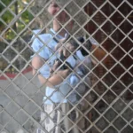 Daag jezelf uit tijdens creatieve meetups en groei in je creatieve proces