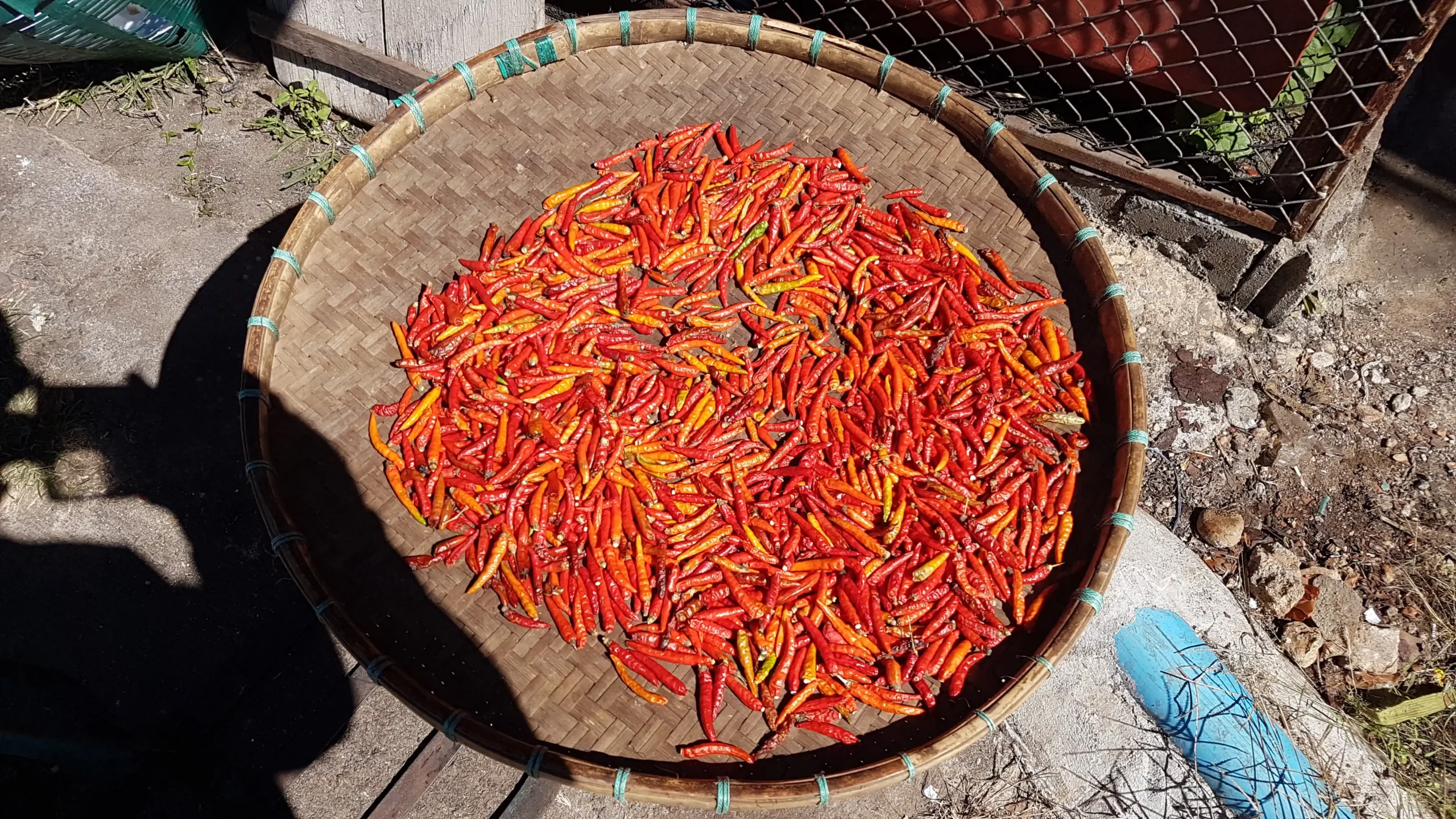 Details van de Mae Hong Son Loop pepers scaled