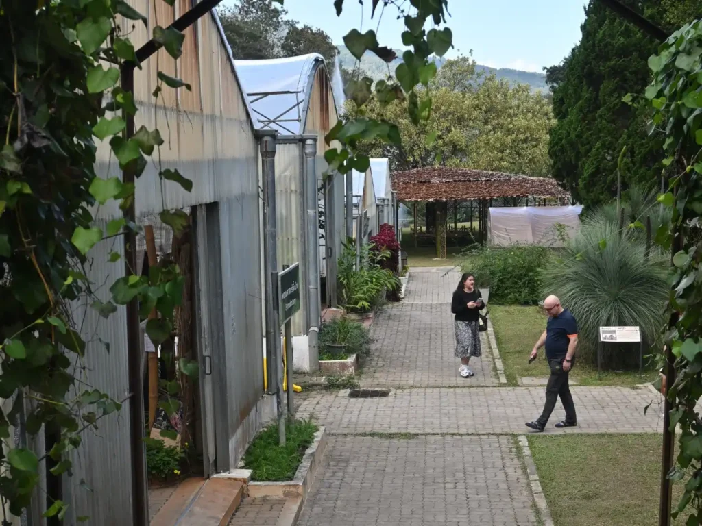 Anders leren kijken in de botanische tuin van Chiang Mai