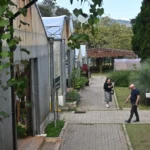 Anders leren kijken in de botanische tuin van Chiang Mai